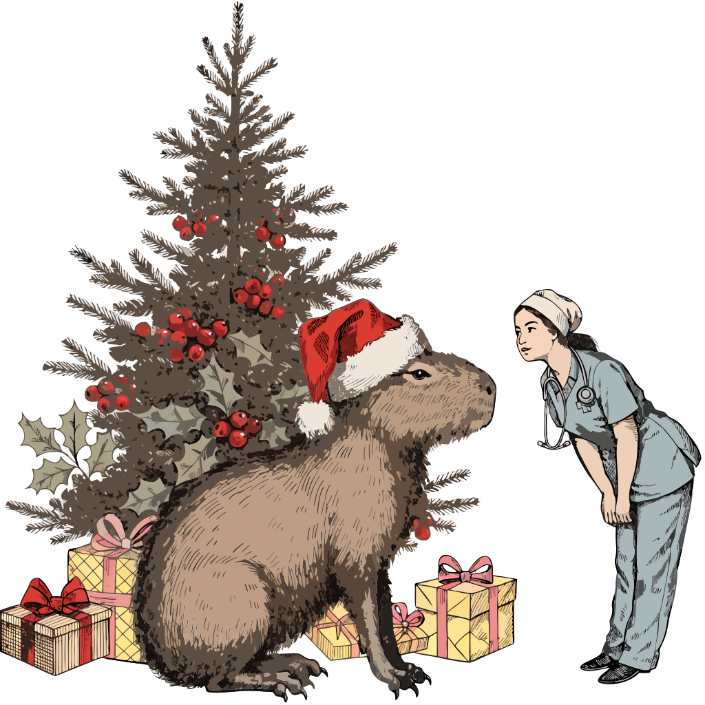 Christmas Raccoon Shirt | Cute Trash Panda Santa Tee | Holiday Animal Lover Gift - image 8